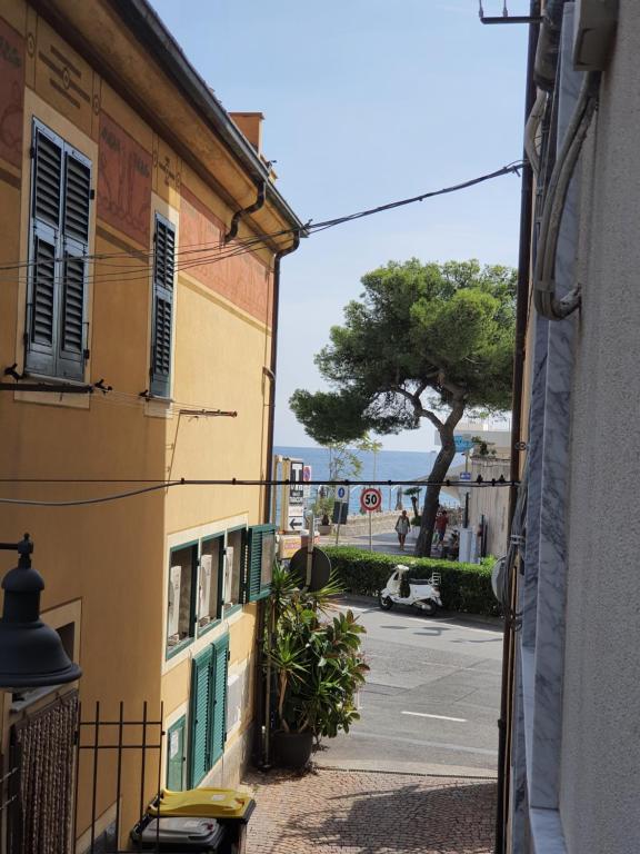 Naturlandskabet i nærheden af lejligheden