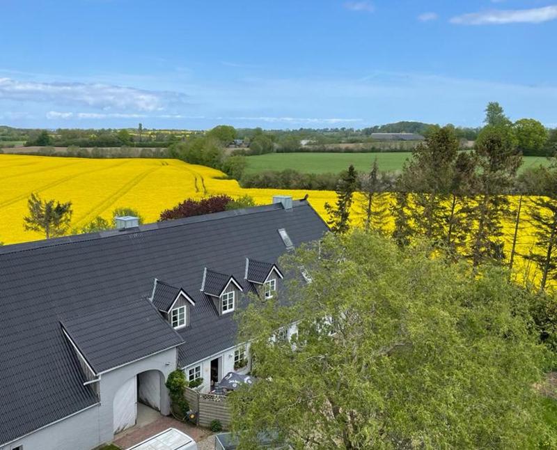 an aerial view of a house and a rapeseed field at Fehrsland1 in Dollerup