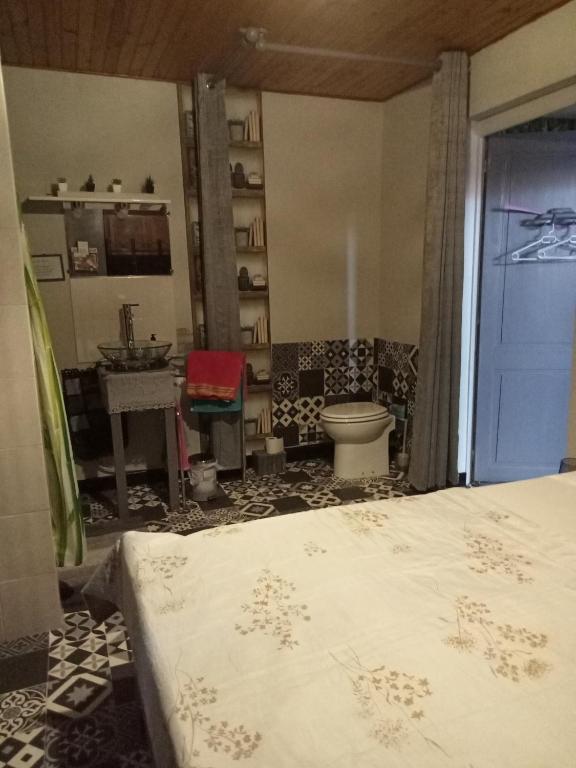 a bedroom with a bed and a sink and a toilet at Le repaire des écureuils in Bourg-Argental