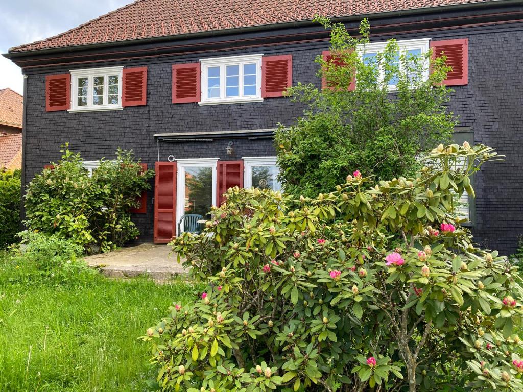 a house with red shutters and a bush with pink flowers at 1 - 2 Zimmer in historischem Altstadthaus in Freudenstadt