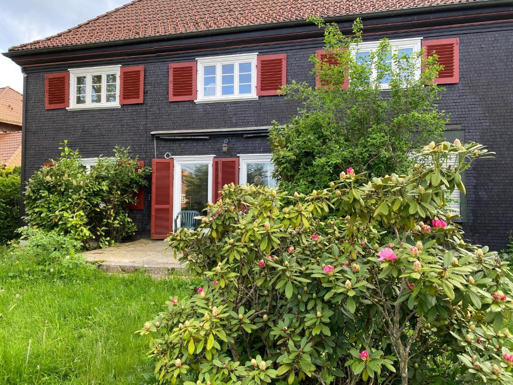 ein Haus mit roten Rollläden und einem Busch mit rosa Blumen in der Unterkunft 1 - 2 Zimmer in historischem Altstadthaus in Freudenstadt