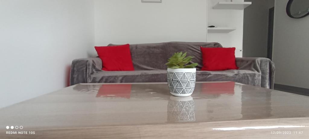 a potted plant sitting on a table in a living room at studio sympa au rez de chaussée in Denain
