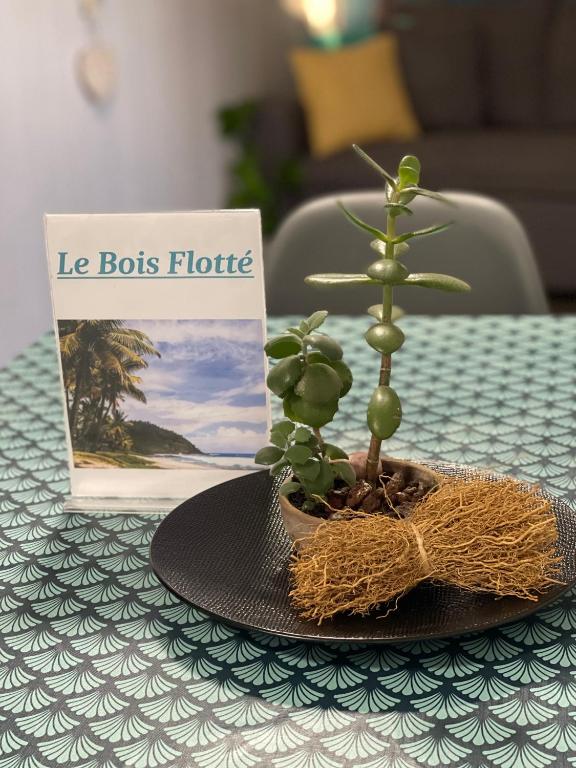 Fotografie z fotogalerie ubytování Caze bois flotté v destinaci Petite Ile