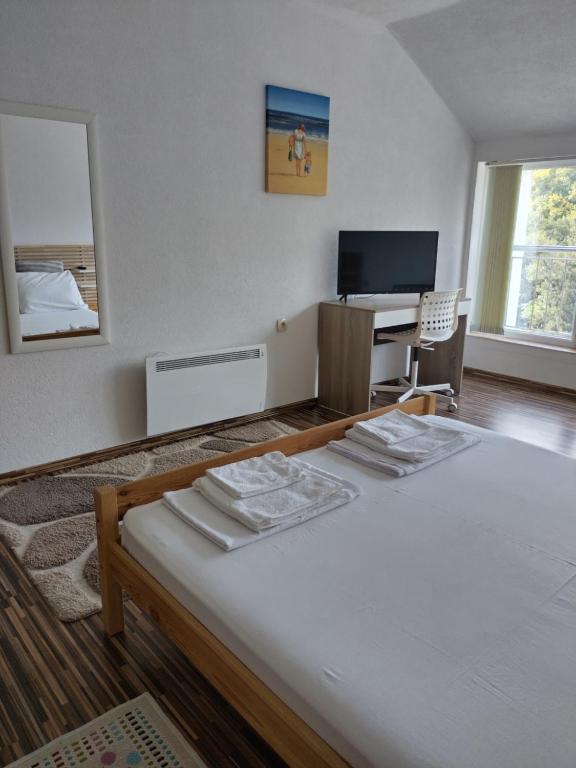 een slaapkamer met 2 bedden, een bureau en een televisie bij Vila Nova in Sandanski