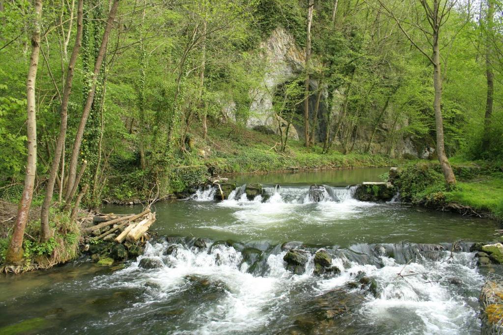 un arroyo con rápidos en un bosque con árboles en Magnifique petit appartement tout équipé, silencieux en Anhée