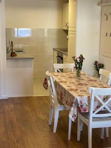Kuchyň nebo kuchyňský kout v ubytování Apartment Concetta Cres