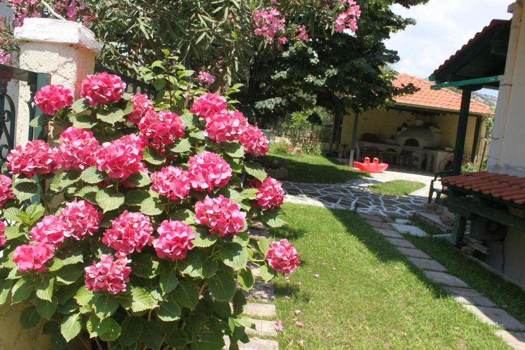 a bush filled with pink flowers next to a house at Lina Studios in Potos
