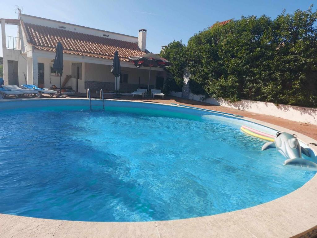 a swimming pool with two dolphins in the water at Quinta D'Avó in Setúbal