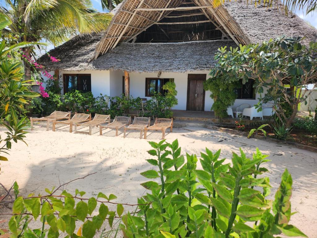 基萬嘎的住宿－Villa NOAH BEACH ZANZIBAR，一个带椅子的度假胜地和一个带稻草屋顶的建筑