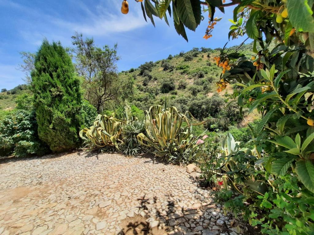 Fotografie z fotogalerie ubytování Casa Arroyo - Rosa & Nispero v destinaci Iznájar