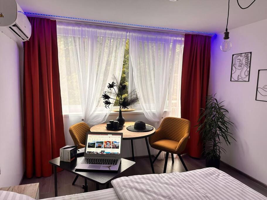 sypialnia ze stołem i laptopem w obiekcie Residence 57 w mieście Reşiţa