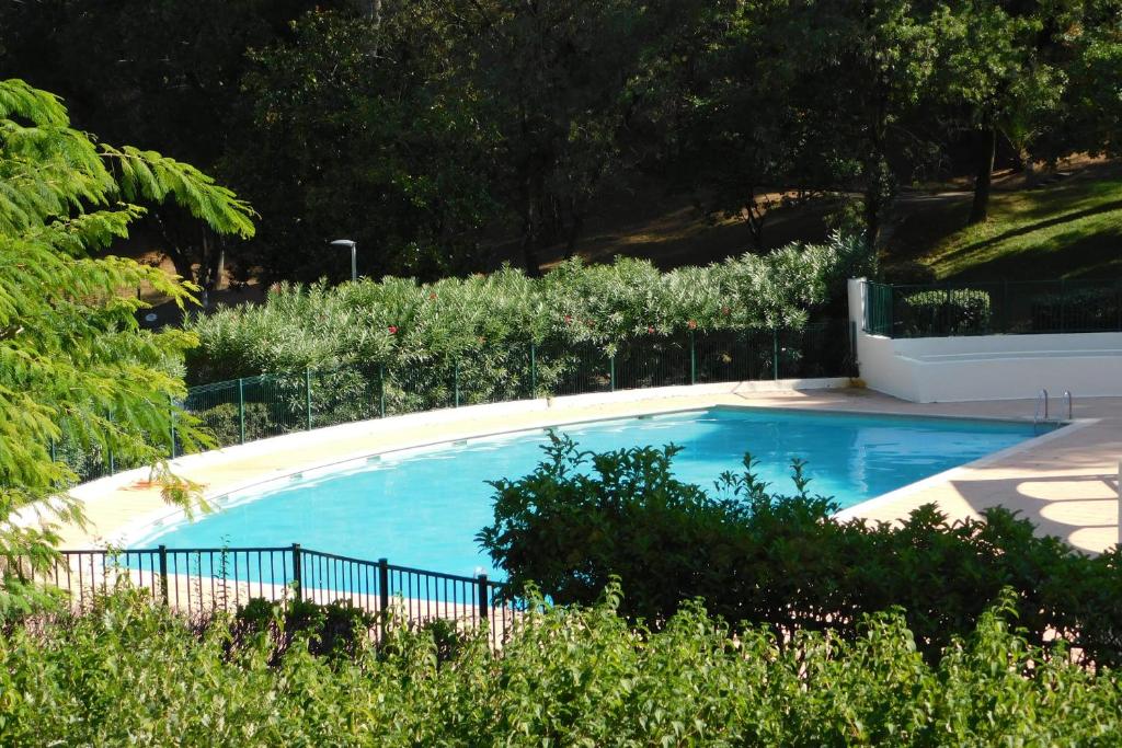 a large blue swimming pool in a garden at Standing T2 Domaine des palmiers air-conditioned with parking and pool in Cannes