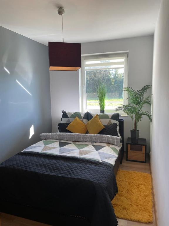 Un dormitorio con una cama con almohadas amarillas y una ventana en Luxury Apartment, en Tyczyn