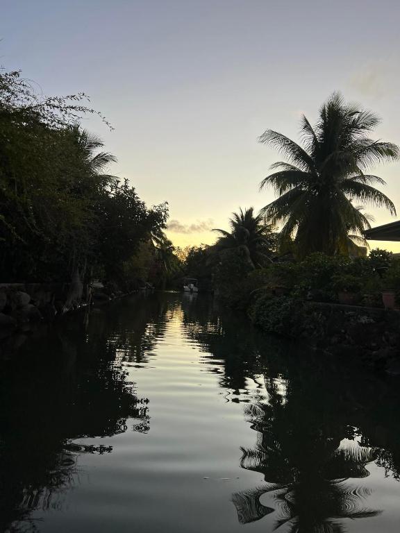 a river with a palm tree in the background at chalet chenal in Hauru