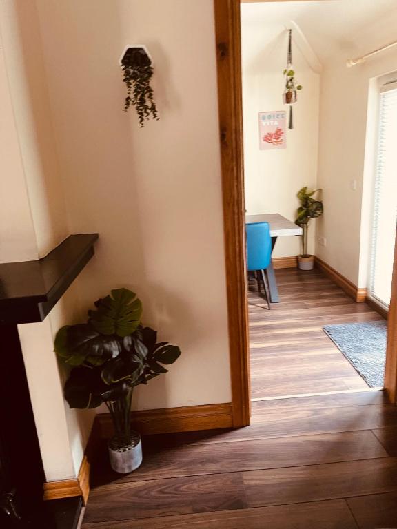 Fotografie z fotogalerie ubytování River Cottage v destinaci Mullingar