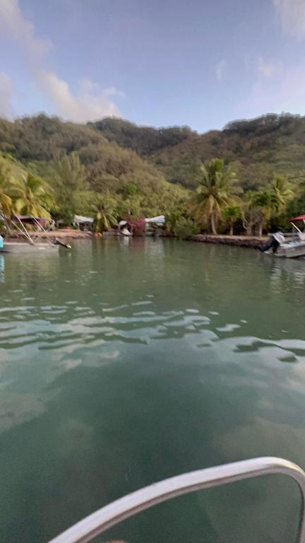 a boat in a body of water with palm trees at chalet chenal in Hauru