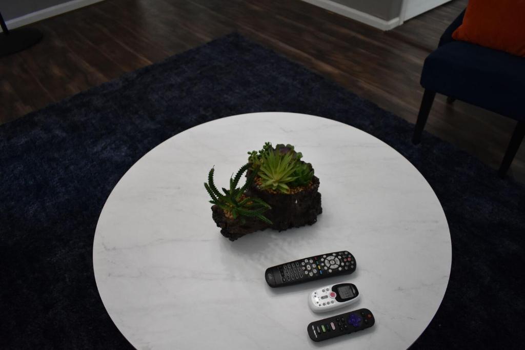 a white table with a cactus and two remote controls at Bsu Playland 3bd 1b Fully Remodeled on Bsu Campus in Boise