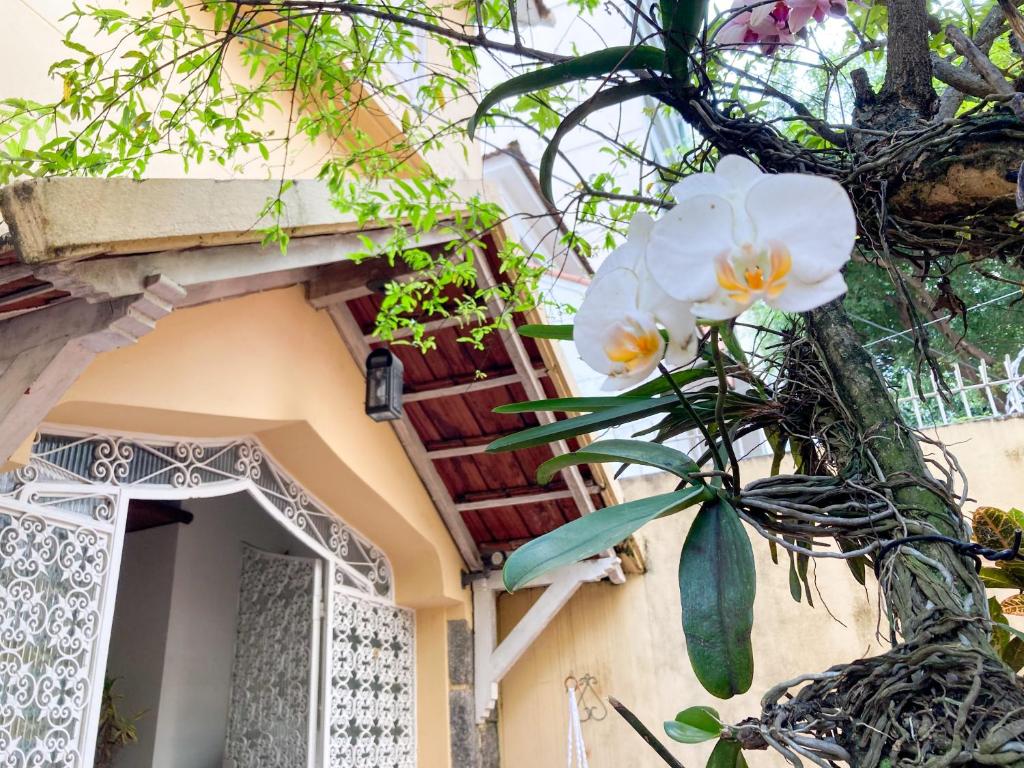 a white flower on the side of a building at Chez Zany Boutique Hostel - Copacabana in Rio de Janeiro
