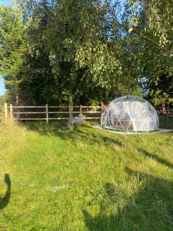 Un igloo in un campo erboso di Country Bumpkins Luxury Igloo a Wellingore