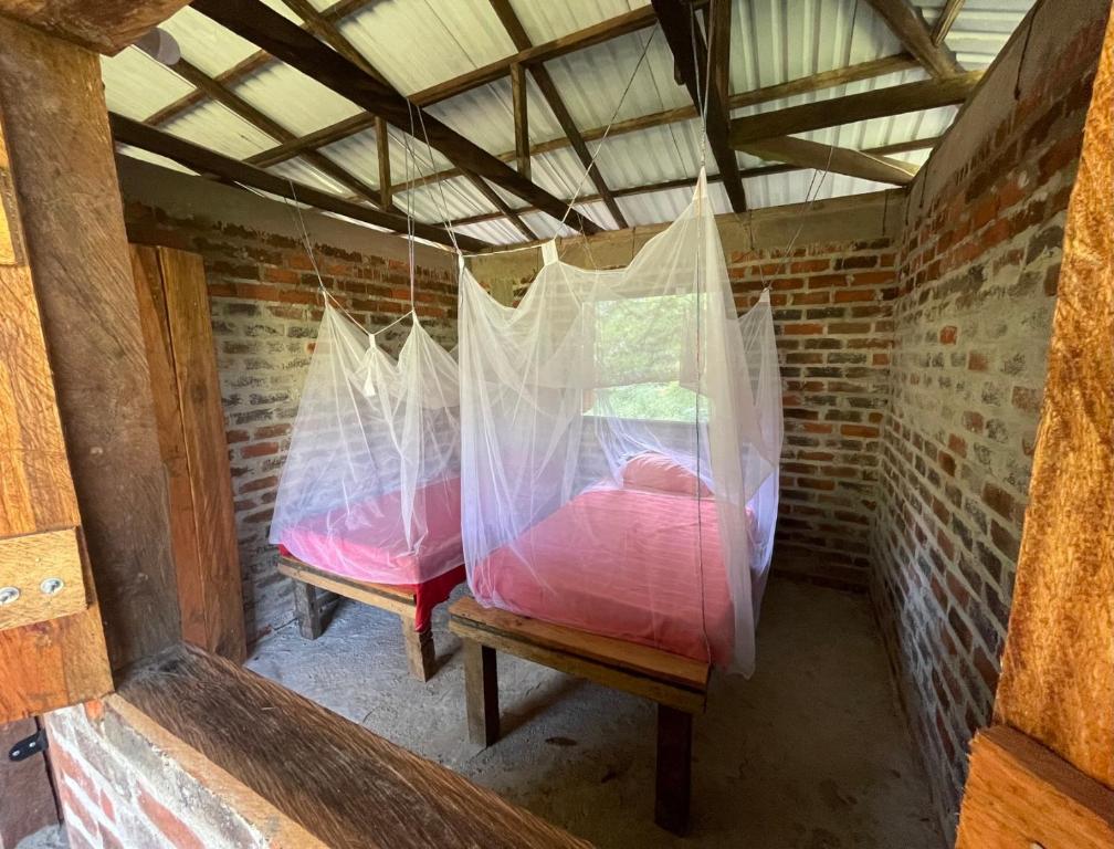 Villa Medici Macarena, finca eco-turistica