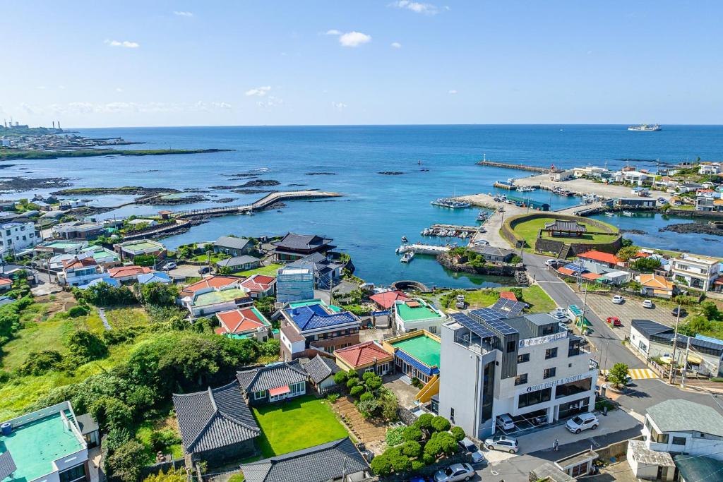 an aerial view of a town next to the ocean at Haedam House in Jeju