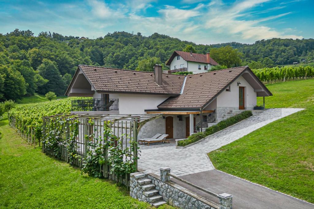 a house in the middle of a vineyard at Vineyard Cottage Radovlja With Sauna - Happy Rentals in Smarjeske Toplice