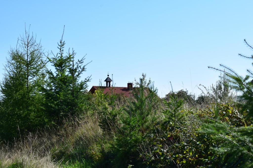 Fotografie z fotogalerie ubytování Zámeček nad Běleckým Mlýnem v destinaci Hluchov