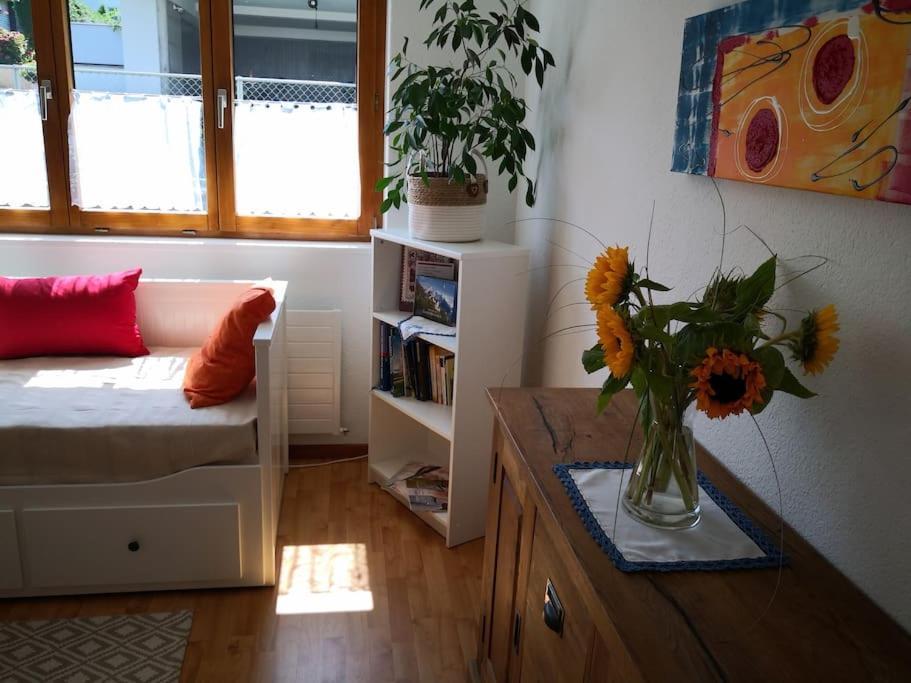 Garten-Wohnung - Hizvo