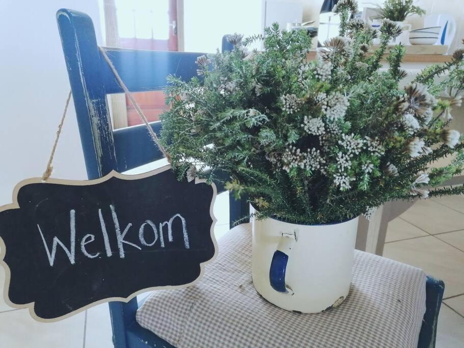 a potted plant sitting on a table next to a sign at Beachfront at 22 Settler's Sands in Port Alfred