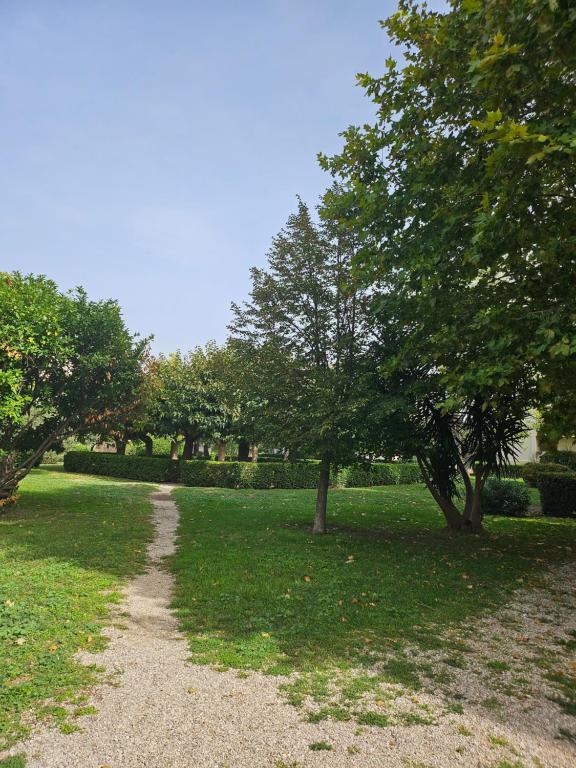a path in a park with trees and grass at Appartement la plage in Marseille