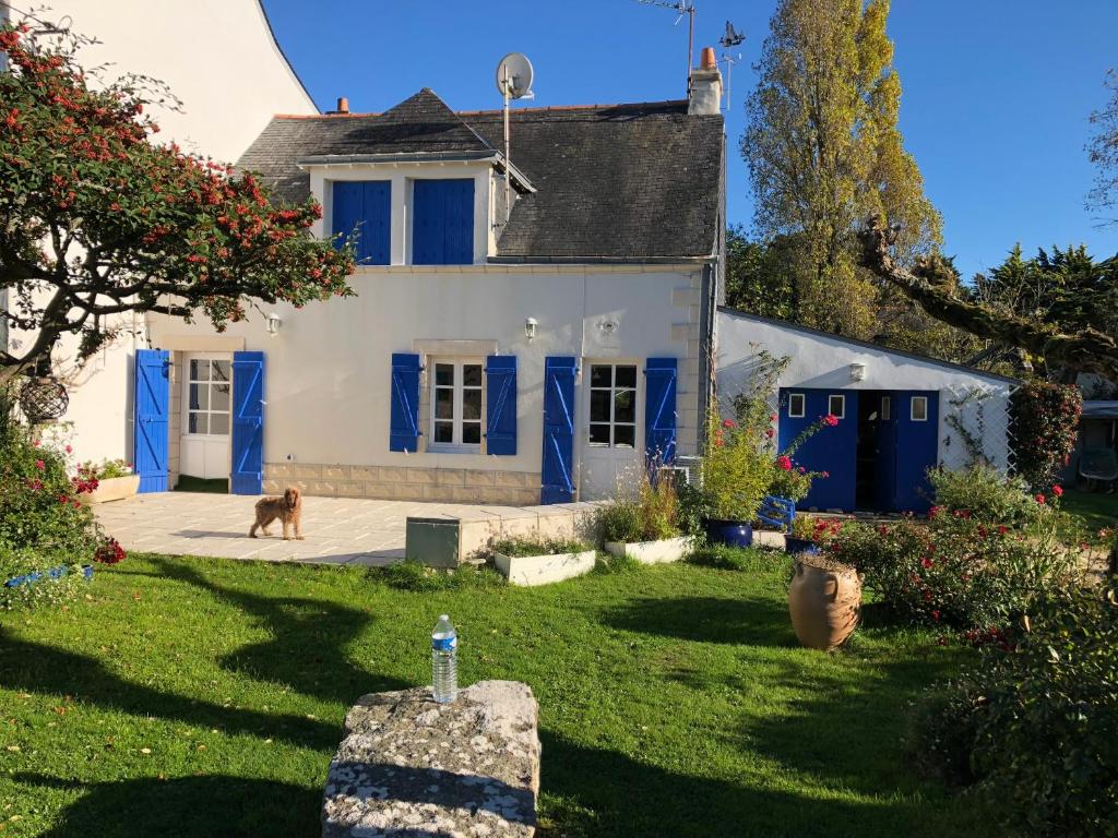 un chien debout devant une maison blanche dans l'établissement Maison Saint Gildas de Rhuys, à Saint-Gildas-de-Rhuys