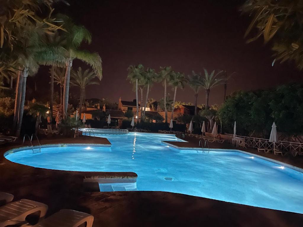 duży basen w nocy z palmami w obiekcie Apartament z widokiem na morze w mieście Son Xoriguer