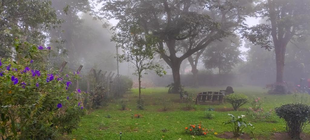 un giardino nebbioso con panchina, alberi e fiori di Neysa's Vacation House a Los Naranjos