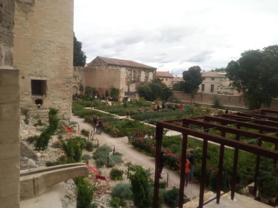 Zahrada ubytování Gite LE PETIT LUBERON COQUELICOT