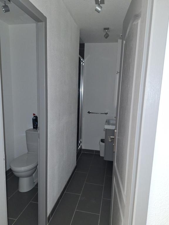 a bathroom with a toilet and a sink in it at Au cœur de Caillassou in Villemur-sur-Tarn