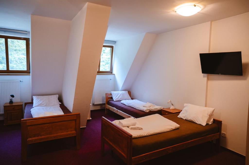 Postel nebo postele na pokoji v ubytování Horský Hotel Popradské Pleso