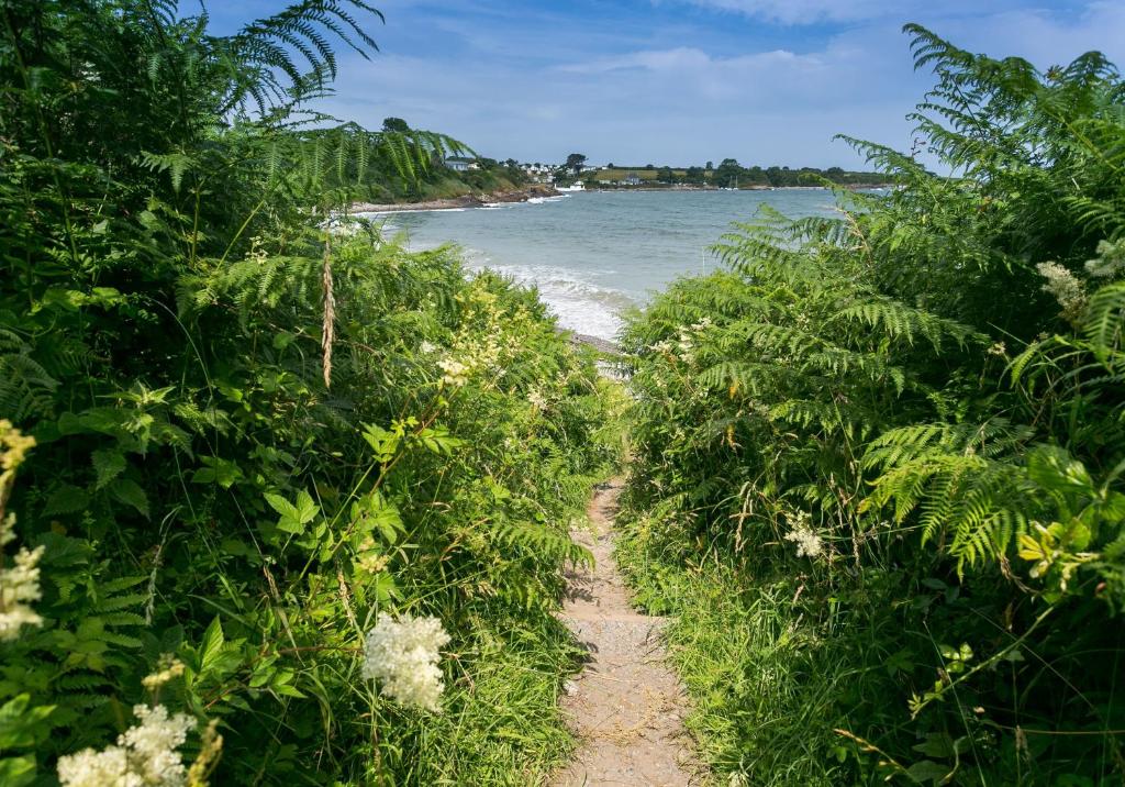 a path through the jungle next to the beach at Dinas Cottage in Benllech