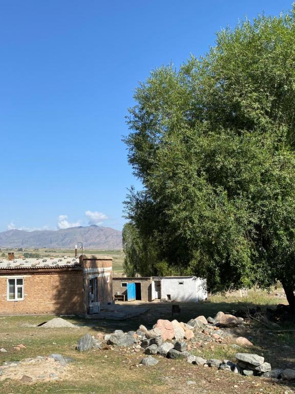 Jailoo-Kok-Bulak - отзывы и видео