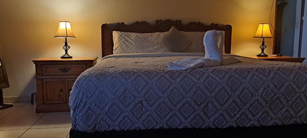 Kartagus Guest House في سان سلفادور: غرفة نوم بسرير لحاف ازرق ومصباحين
