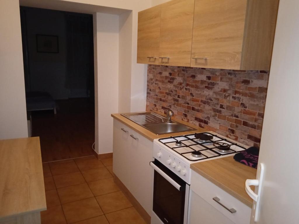 Kuchyňa alebo kuchynka v ubytovaní Apartments Keinergasse 18-contactless check-in!