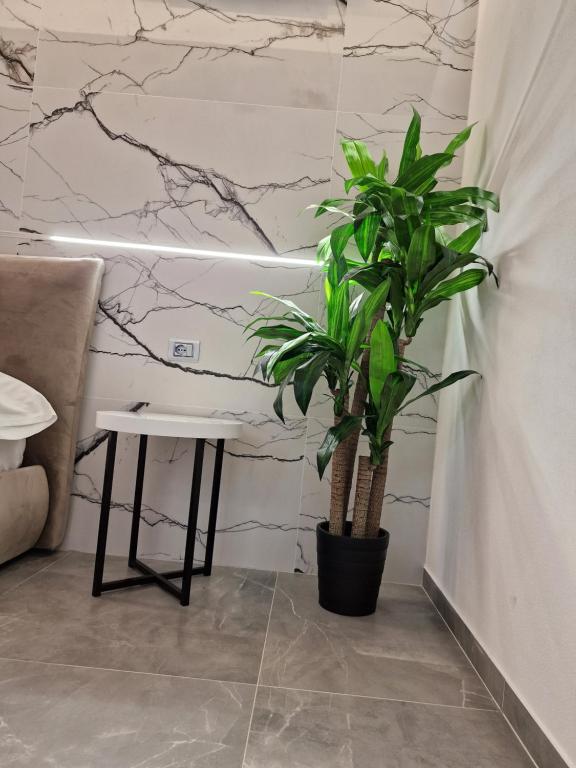 Fotografie z fotogalerie ubytování MARLA ROOMS v destinaci La Spezia
