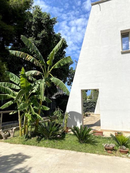 Zahrada ubytování Casa Woow