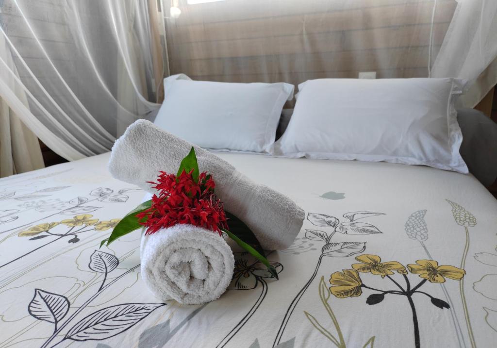 Odyssea Caraïbes Cottages & Spa photo