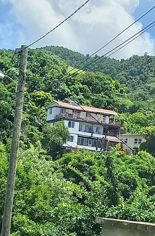 a house on the side of a hill with trees at Canefield sea view apartment in Roger