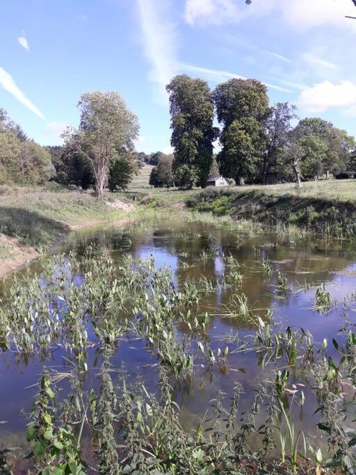 a body of water with trees in the background at L&#39;Atelier à l&#39;orée des bois in Saint-Pierre-sur-Dives