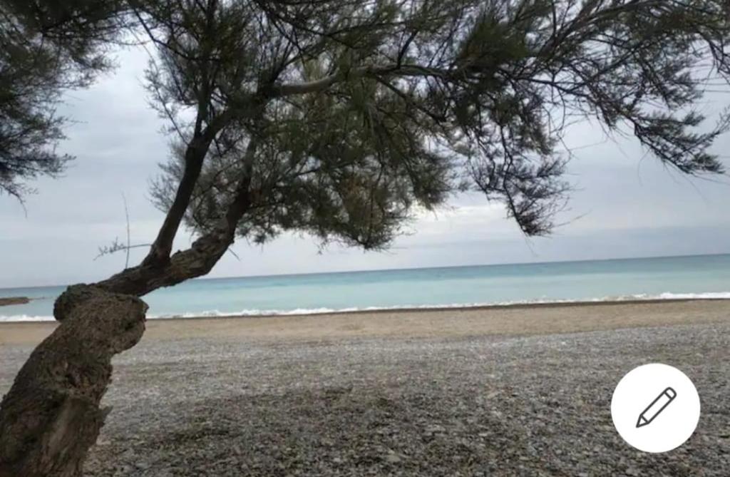 un pino en una playa con una lupa en Casa Carmen Martínez en Moncófar