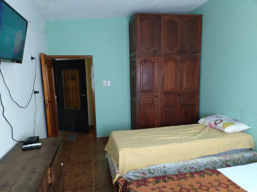 1 dormitorio con 1 cama con armario de madera y TV en yusulpayki en Termas de Río Hondo