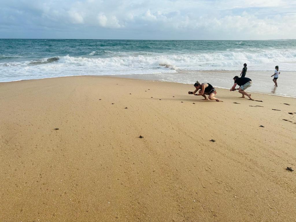 a group of people playing in the sand on the beach at Turtle Wood Cabin in Tangalle