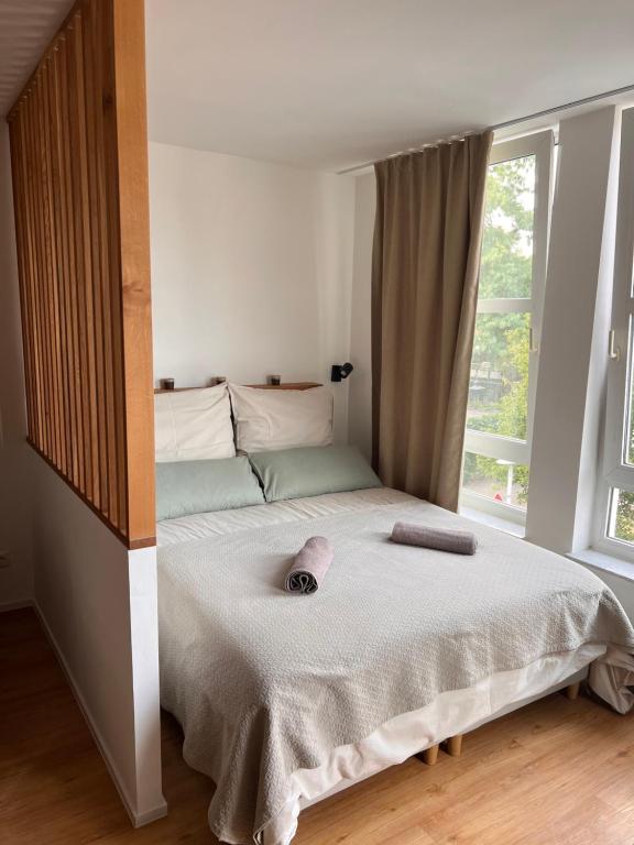 1 dormitorio con 1 cama grande y ventana en Ruhiges Designer Apartment in Zentrum & Rheinnähe, en Bonn