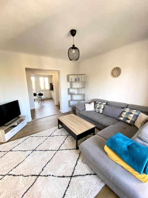 un salon avec un canapé et une table basse dans l'établissement l'emplacement idéal-Free parking à 5mn du centre, à Wintzenheim